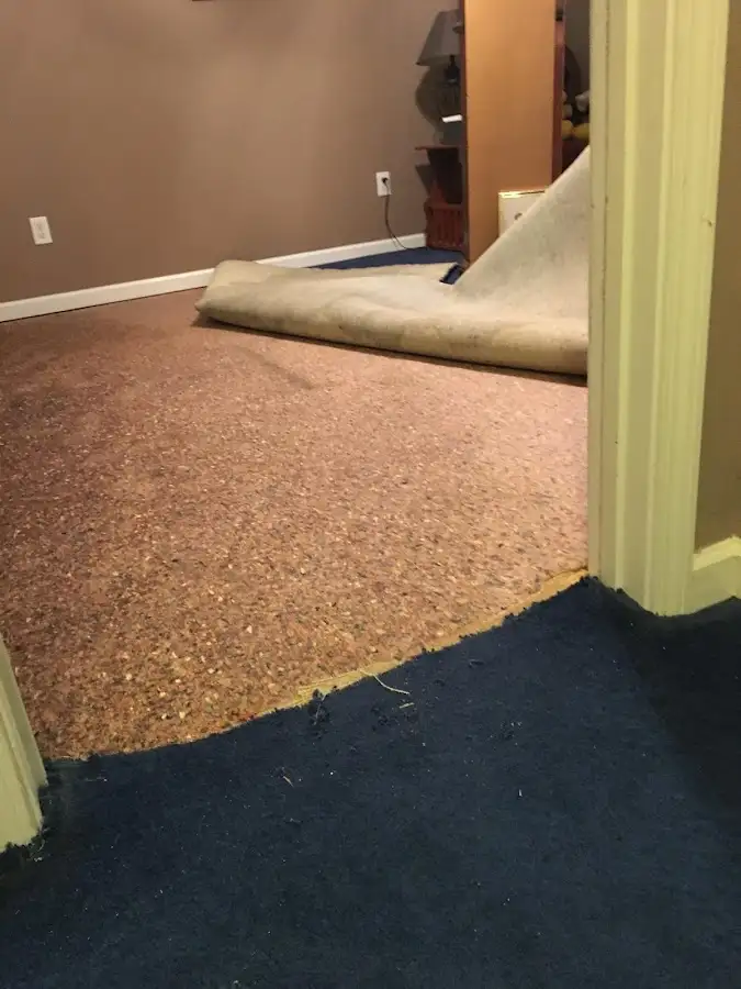 Carpet pad removal revealing water damage during Drying & Dehumidification in Lock Haven